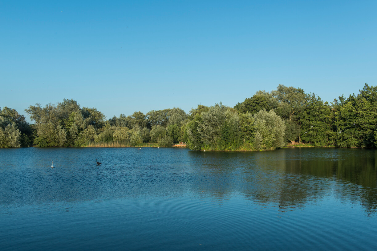 The Waterlily Lodge Little Horseshoe Lake